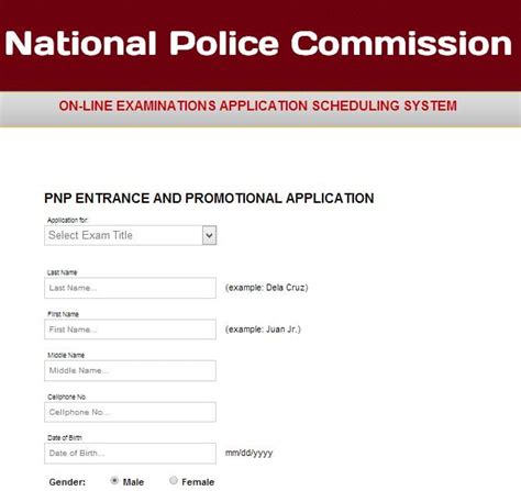 pnp online application.
